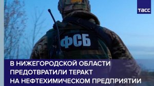 В Нижегородской области предотвратили теракт на нефтехимическом предприятии