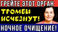 Узнайте_Секреты_здоровья_от_японских_врачей__Откровения_Майи_Гогулан!