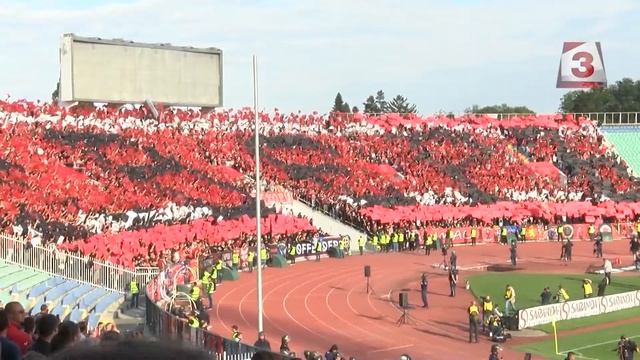 Стоичков: Не искам играчи на килограм от пазара в ЦСКА смотреть онлайн