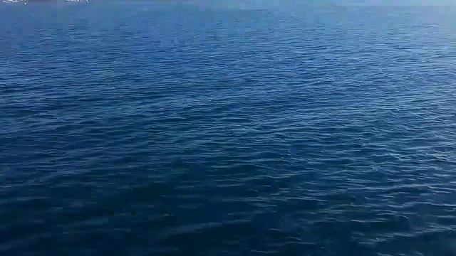 На пароме "Адмирал Истомин" через Севастопольскую бухту смотреть онлайн