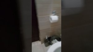 отель " морская волна ' в Анапе