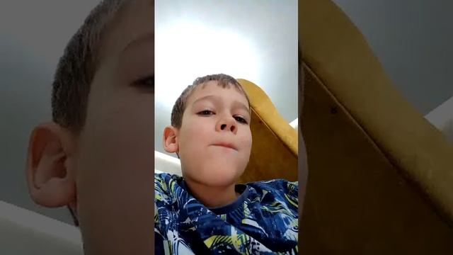 общение челенди хомяк 🐹
