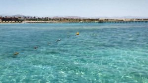 Обзор отеля Coral Sea Holiday Resort and Aqua Park 5* в Шарм-эш-Шейхе, район Набк-Бэй, Египет.