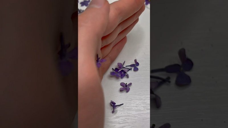 Часть 2: результат сушки сирени плоской и объемной.           #сухоцветы #творчество