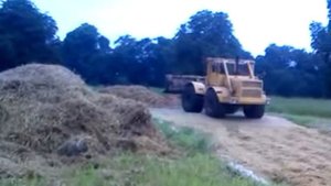 Трамбовка сенажа на К 701