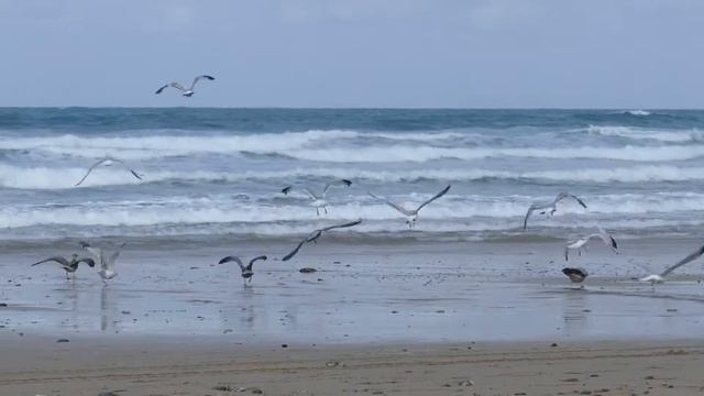 #relax // Jazz and Blues // Музыка для Души // E's Jammy Jams смотреть онлайн