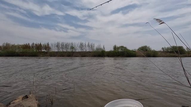 Приморский край. Хорольский район. Весенняя рыбалка. Косатка. смотреть онлайн