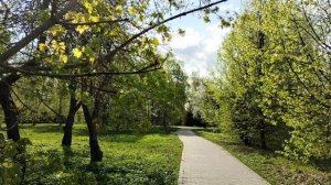 Весенняя песня в парке.Пою для вас!!!🥰🥰🥰