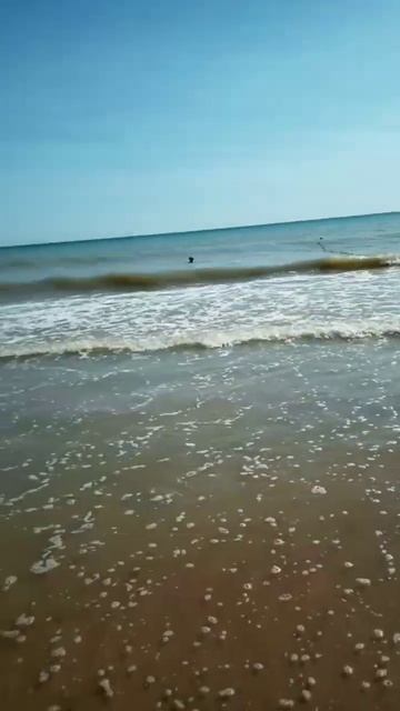 веселовка 2023. июль. смотреть онлайн