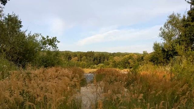 Псебай ЛЕТО 24г Место притяжения. НОВАЯ ЛАКАЦИЯ Кавказ Андрюки Шедок Туризм Путешествия смотреть онлайн