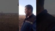 пасека на новом месте