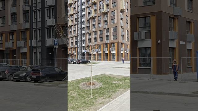 ЖК Молжаниново лот 45 м2 смотреть онлайн