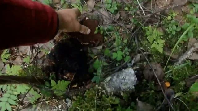 хариус,окунь,щука рыбалка на Лодьме и озёрах Белое малое и большое