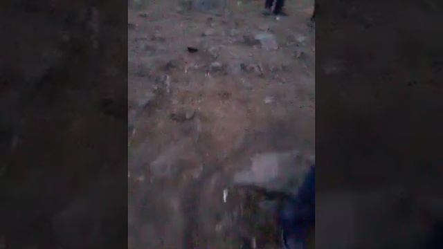 ГРУЗИЯ КРУПНО РОГАТЫЙ СКОТА РЫНОК В ГОРОДЕ МАРНЕУЛИ