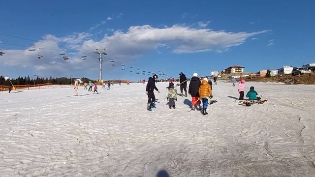 Поездка в Карпаты 2021