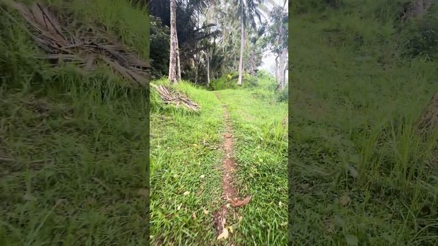 Участок под глэмпинг в горах на Бали 1 смотреть онлайн