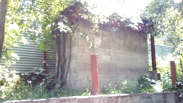 Заброшенное кафе и ещё один корпус