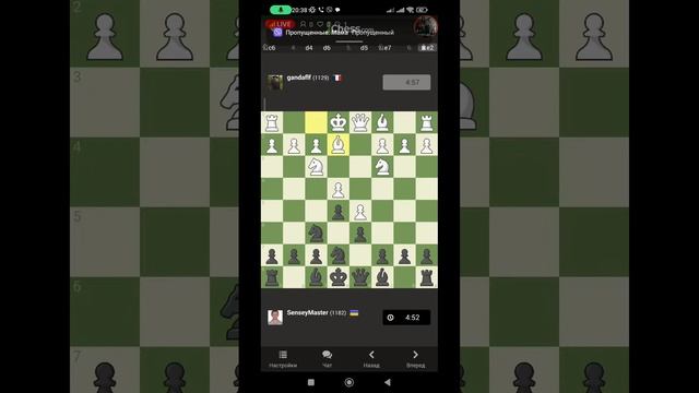 Кафе Хвоя Ворзель Уроки у Шахи Шахмати смотреть онлайн