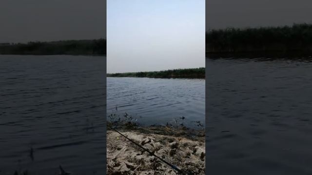 Рыбалка в Яшалте. (1) смотреть онлайн