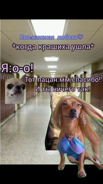 Наивная любовь 🩷💔