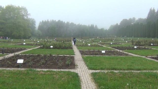 Кисловодск 30 04 2024  Каскадная лестница  Красные грибы  Гроты на тропе