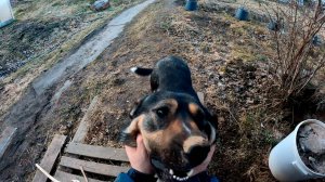 Начинаем снимать...