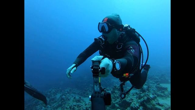 Египет 2021 смотреть онлайн