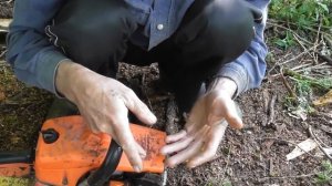Сравнение Бензопил Немецкой STIHL и Китайской Carver