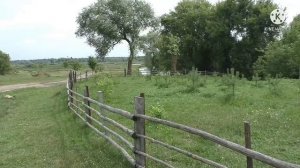 почеп,деревня Азарово!