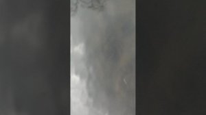 Первое видео про рыбалку на моём канале👍🏽🪬