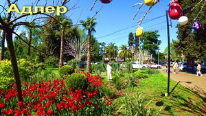 АДЛЕР. УЛ. КИРОВА. ПЛЯЖ ЧАЙКА. НАБЕРЕЖНАЯ. ЮЖНОЕ ВЗМОРЬЕ. ПЛЯЖ ЛАЗУРЬ. ПАРК ..