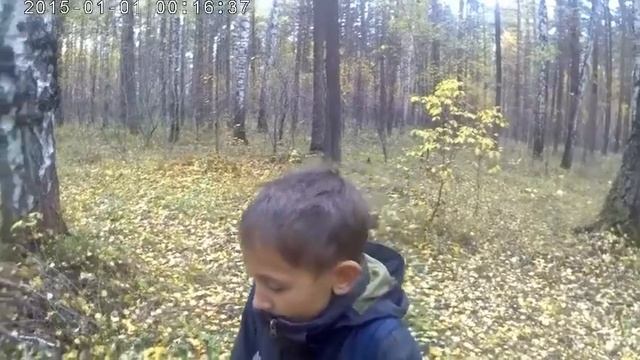 Выживание в лесу:Питик алкаш часть 1
