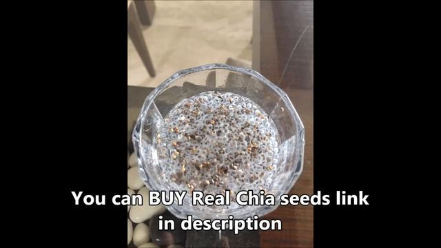 Truth about CHIA Seeds, Sabja & BASIL Seeds: CONFUSION, Basil Vs Chia Seeds - Dr Shalini смотреть онлайн