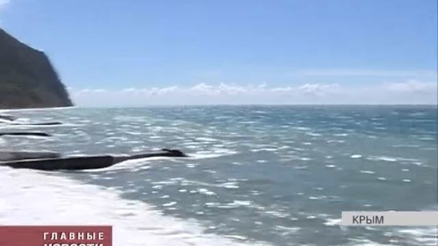 262 орловских ребенка отправились в Крым смотреть онлайн