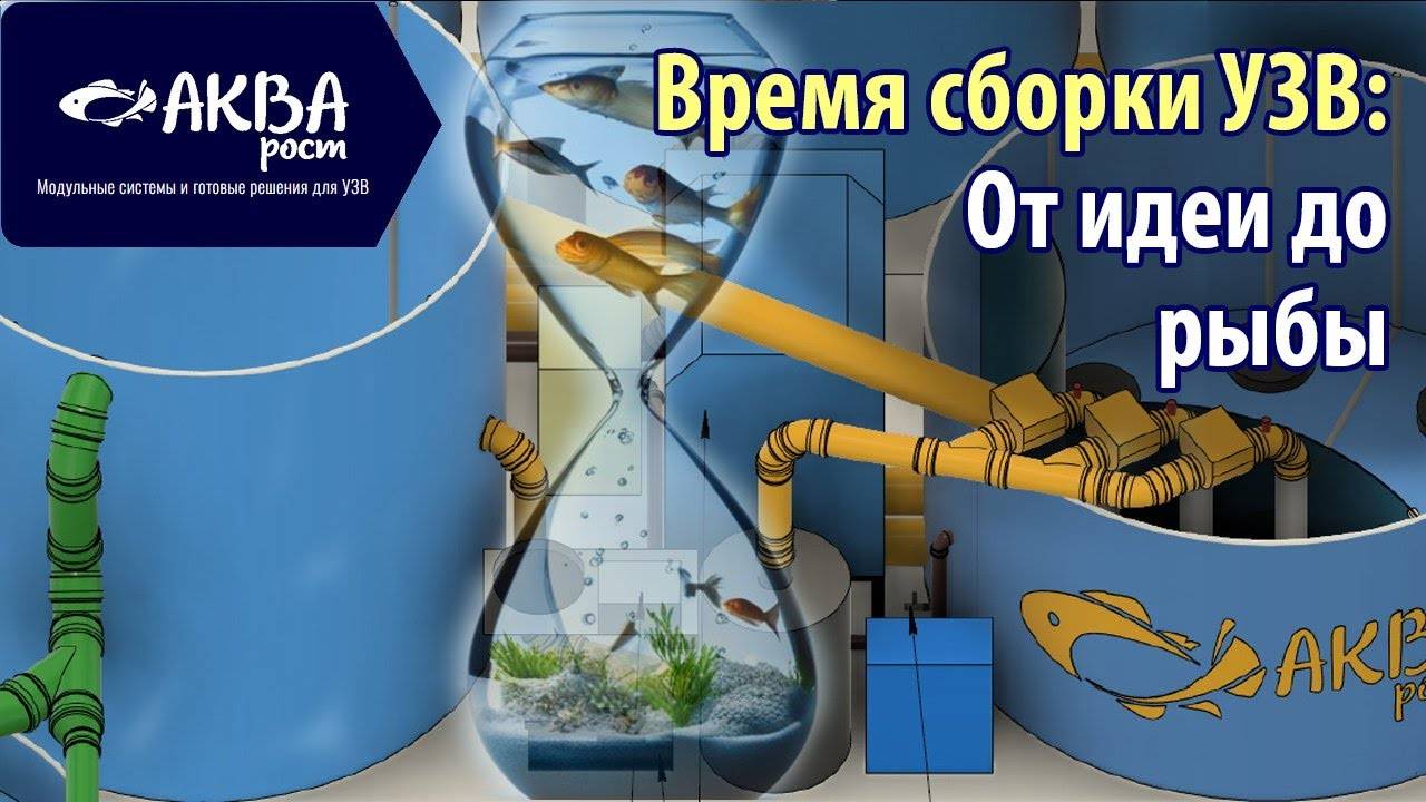 Сколько времени нужно на сборку УЗВ #бизнесвдеревне #рыба #узв #система смотреть онлайн