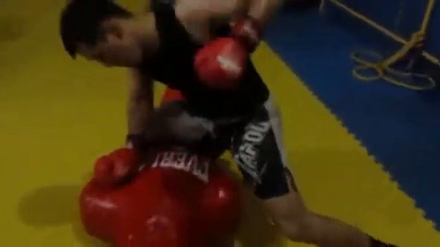 Султан улуу Кыргыз спорт Клуб 🐯