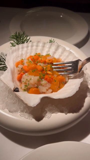 Тартар из гребешка и хурмы в ресторане RED FOX ( на Красной Поляне) #краснаяполяна #сочи #адлер смотреть онлайн