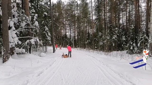 Поездка на лыжную базу🎿
