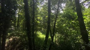 АБХАЗИЯ| Garuda Glamping, Мой ДЭРЭ, Задержали рейс на 15 ЧАСОВ