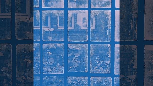 Созерцая (Фокус) смотреть онлайн