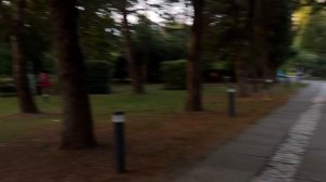 Самшитовая роща. Абхазия. Отдых в июне