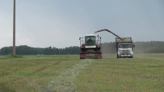 Заготовка кормов в Шарчинском и Болтовском хозяйствах. Сузунский район. смотреть онлайн