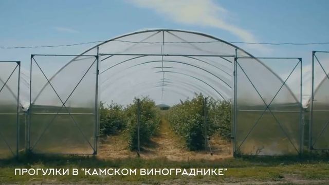 Эко туризм смотреть онлайн