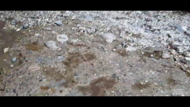 Жоэкварское ущелье.Пешком по конному маршруту,часть 1 смотреть онлайн