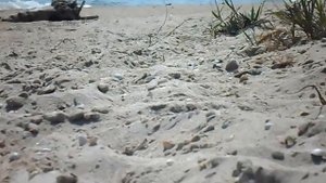 Нудистский пляж 2014