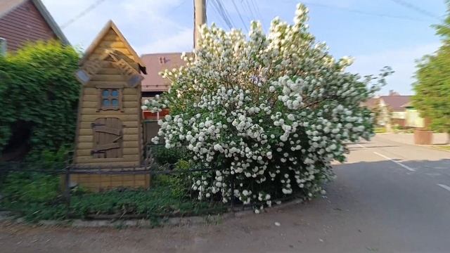 10. Одуванчики, котики и прочее... смотреть онлайн