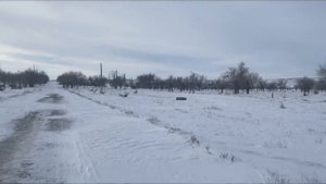 Шалгинск 31 января 2021