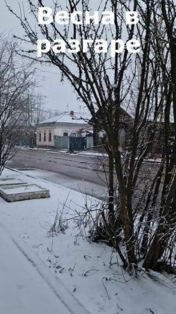 ВЕСНА!)