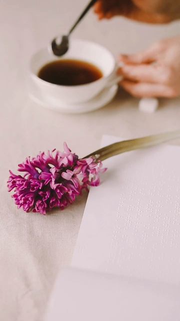 Elegant Jazz - Мягкий июльский кофе, джазовая музыка и Счастливое утро смотреть онлайн