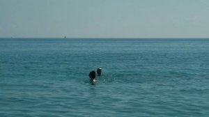 GELEN VLOG 4 - ГЕЛЕНДЖИК КРУЧА/  СОСНОВКА ГЕЛЕНДЖИК / ПЕШИЕ МАРШРУТЫ В ГЕЛЕНДЖИКЕ